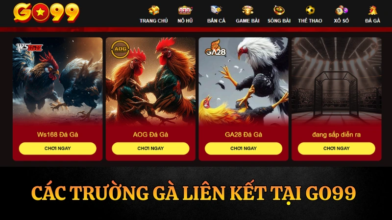 Danh sách các đối tác trường gà liên kết tại GO99 bao gồm SV388, WS168 và các bồ gà Thomo CPC1, CPC2, CPC3, CPC4.